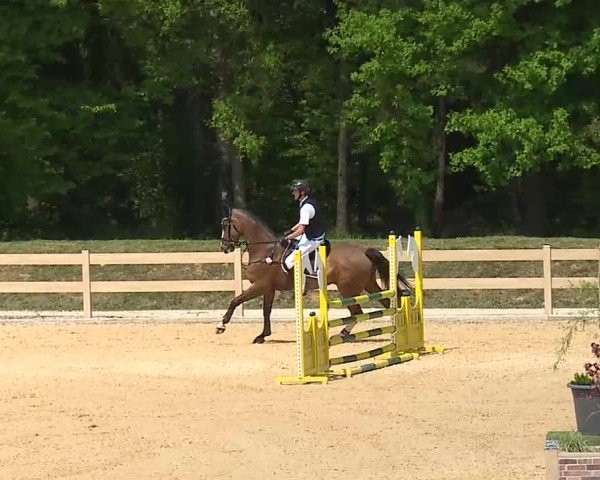 Reitturnier Tiefenhof/Opf. 2025