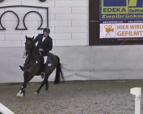 Late Entry Zweibrücken 2014