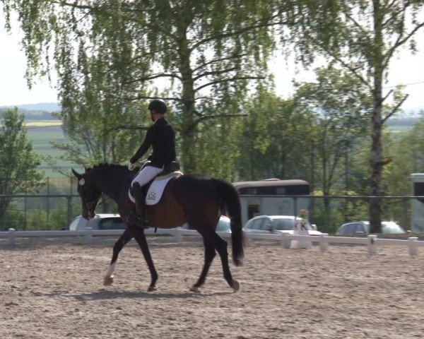 Reitturnier Landenhausen 2025