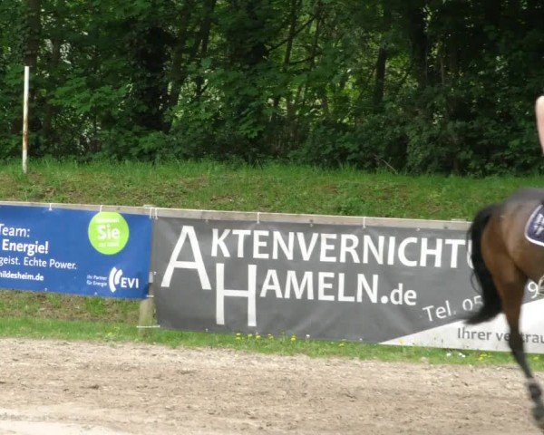 Reitturnier Hildesheim-Steuerwald 2025