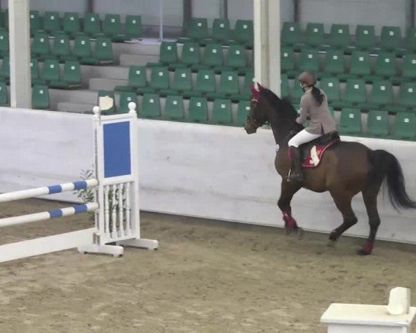 Late Entry Zweibrücken 2014