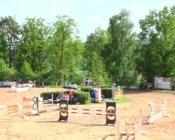 Reitturnier Burgkunstadt-Theisau/Ofr. 2025