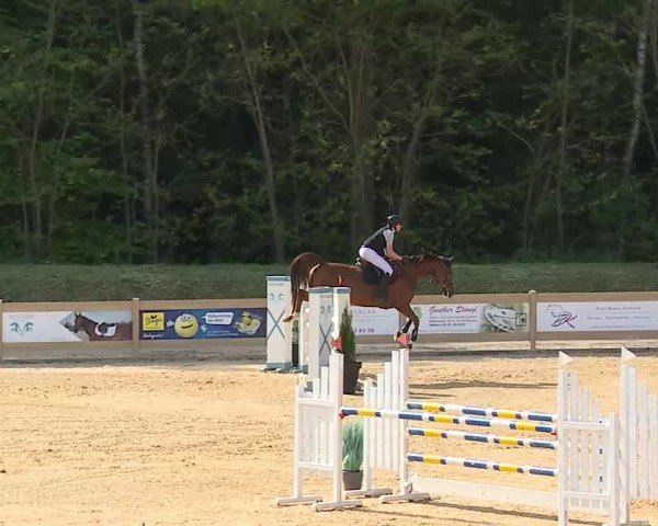 Reitturnier Tiefenhof/Opf. 2025