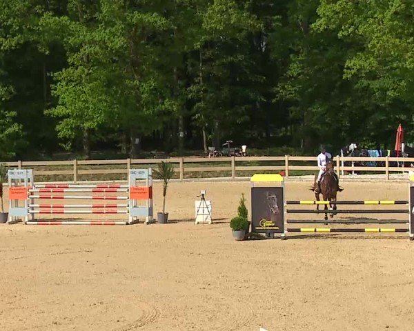 Reitturnier Tiefenhof/Opf. 2025