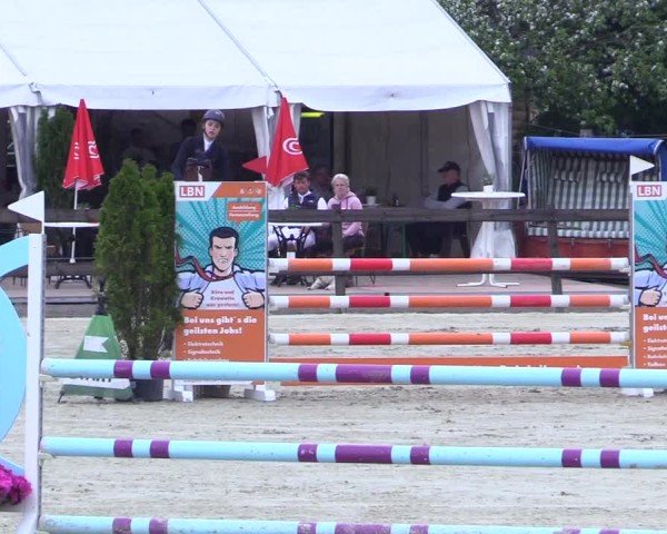 Reitturnier Looperholz 2025