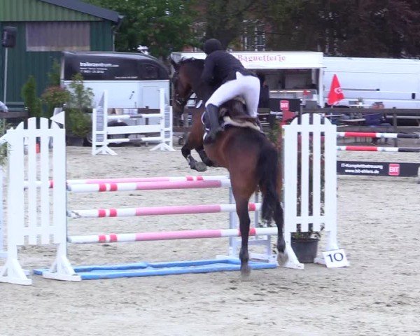 Reitturnier Looperholz 2025