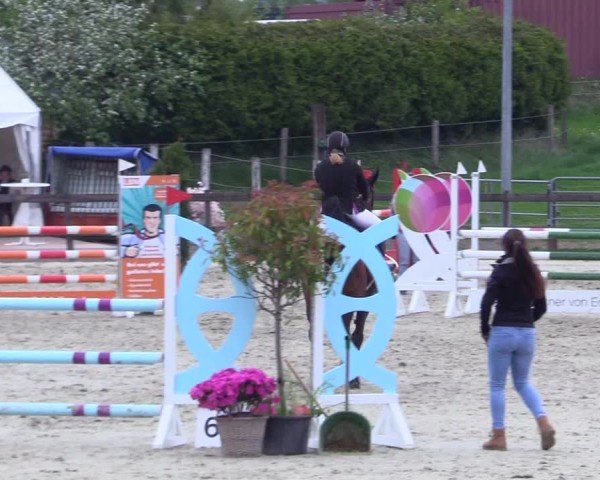 Reitturnier Looperholz 2025