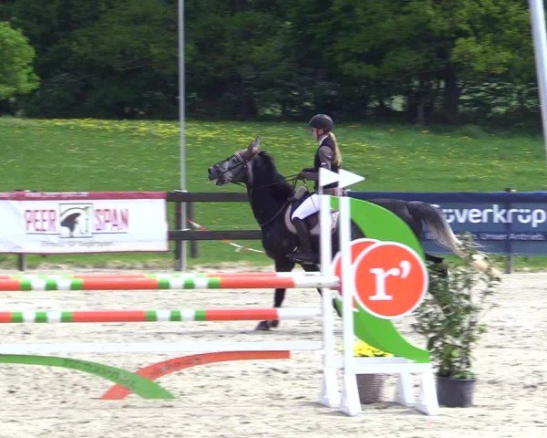 Reitturnier Looperholz 2025