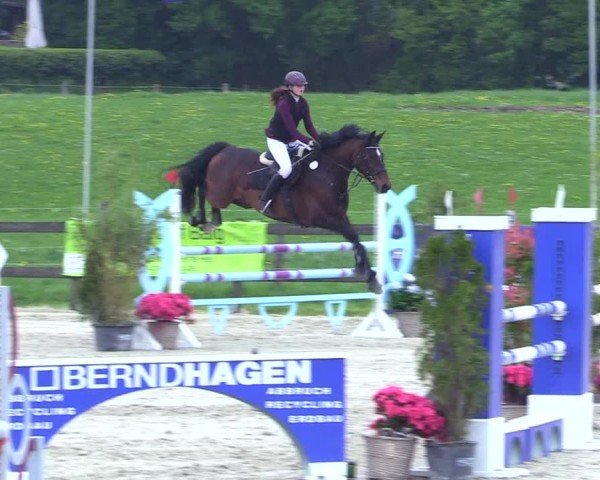 Reitturnier Looperholz 2025