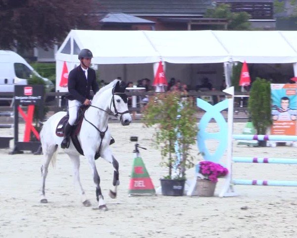 Reitturnier Looperholz 2025