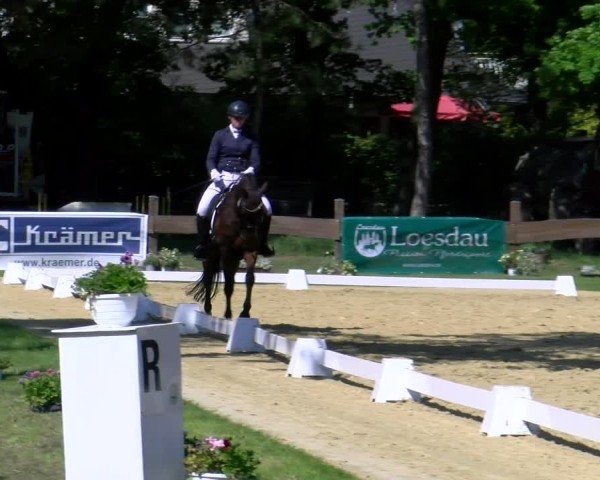 Reitturnier Wesel-Obrighoven 2025