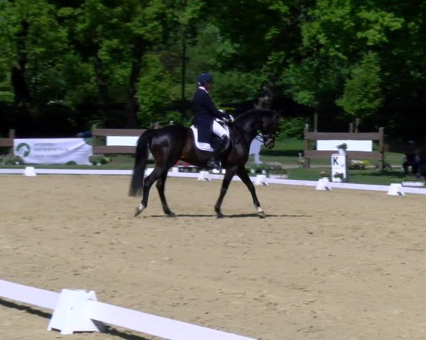 Reitturnier Wesel-Obrighoven 2025