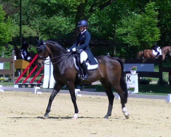 Reitturnier Wesel-Obrighoven 2025