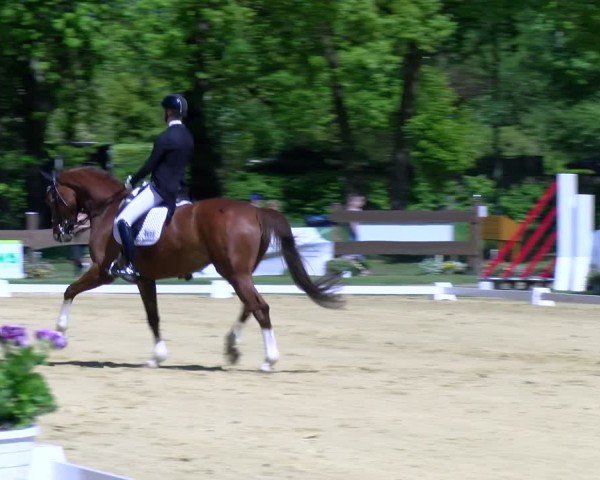 Reitturnier Wesel-Obrighoven 2025