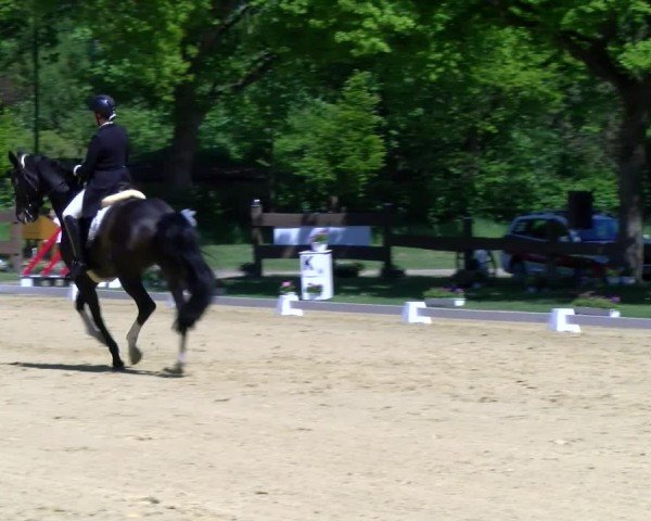 Reitturnier Wesel-Obrighoven 2025
