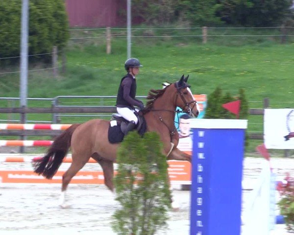 Reitturnier Looperholz 2025