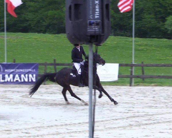 Reitturnier Looperholz 2025