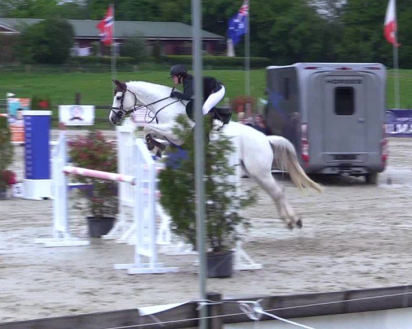 Reitturnier Looperholz 2025