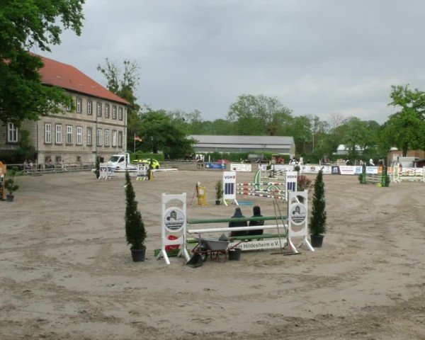 Reitturnier Hildesheim-Steuerwald 2025