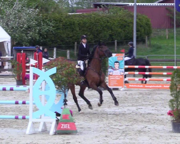 Reitturnier Looperholz 2025