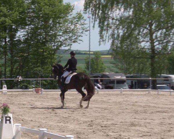 Reitturnier Landenhausen 2025