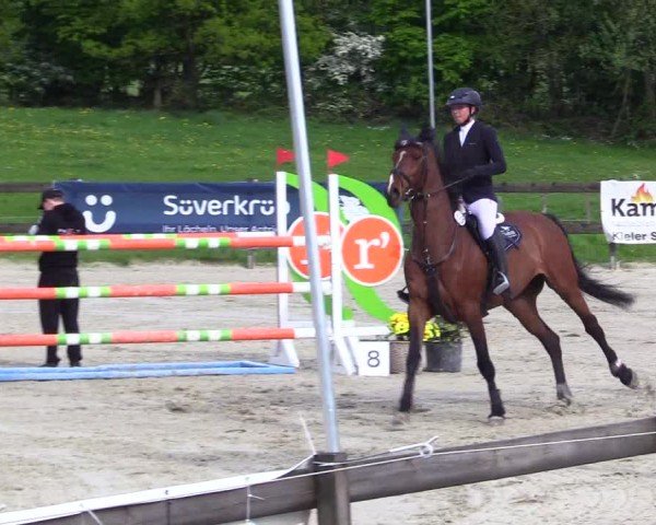 Reitturnier Looperholz 2025