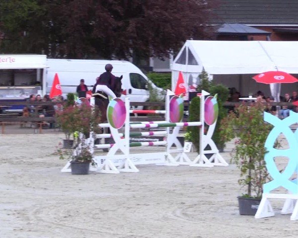 Reitturnier Looperholz 2025