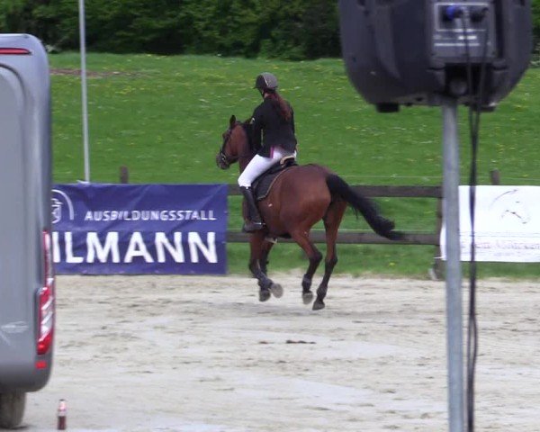 Reitturnier Looperholz 2025