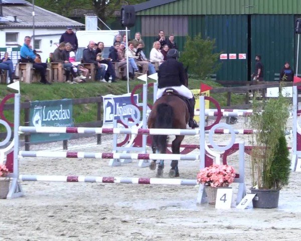 Reitturnier Looperholz 2025