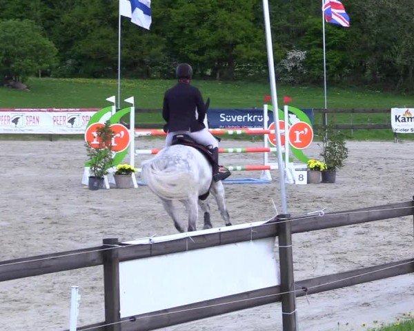 Reitturnier Looperholz 2025