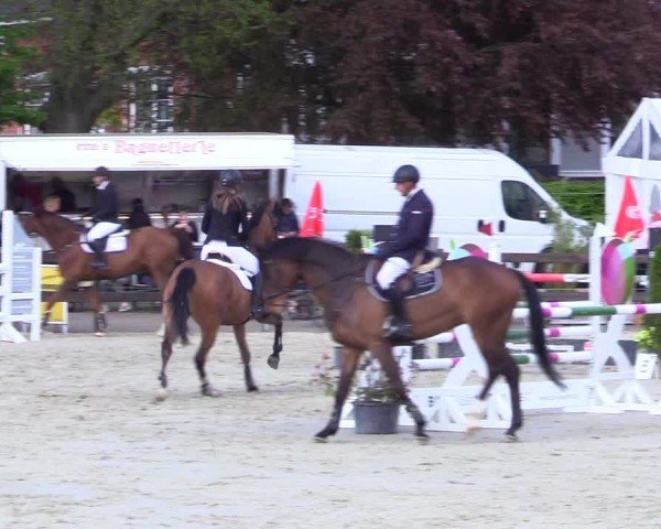 Reitturnier Looperholz 2025