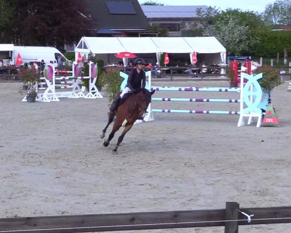 Reitturnier Looperholz 2025