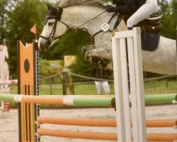 broodmare Malissa R (German Riding Pony, 2016, from Basall)