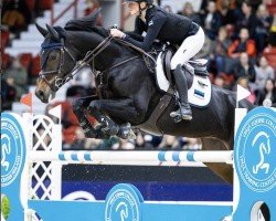 jumper Lorianne (KWPN (Royal Dutch Sporthorse), 2016, from Zapatero VDL)