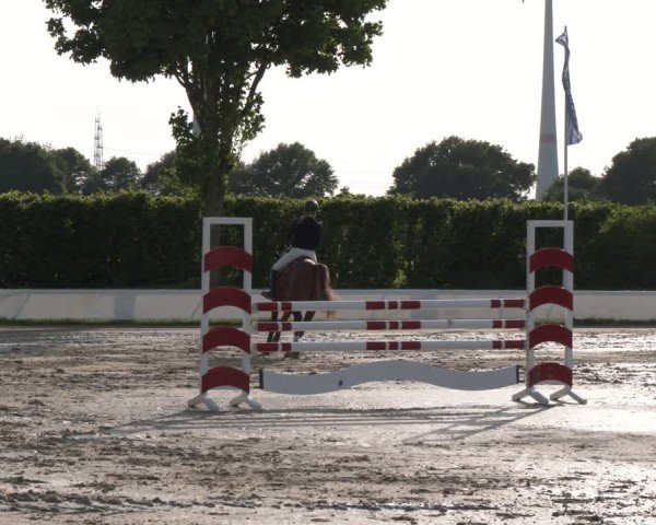 Reitturnier Neuss-Allerheiligen 2025