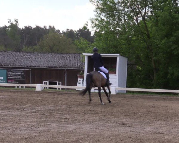 Reitturnier Teupitz 2025