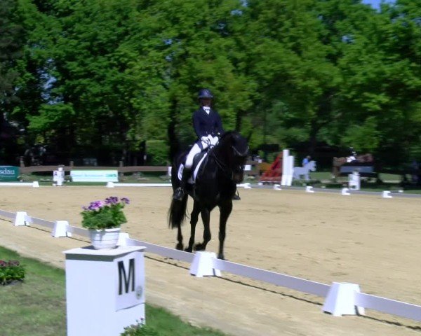 Reitturnier Wesel-Obrighoven 2025