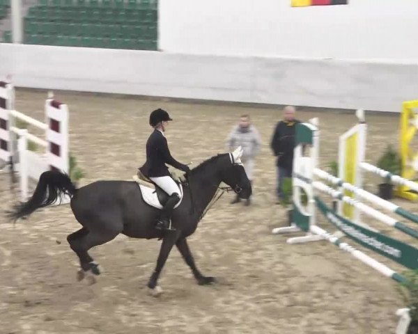 Late Entry Zweibrücken 2014