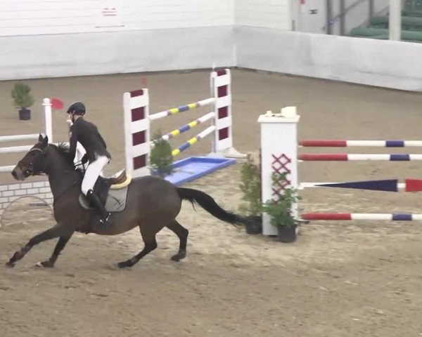 Late Entry Zweibrücken 2014