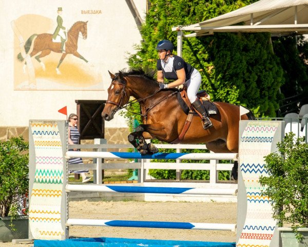 jumper Ferrero Rocher (KWPN (Royal Dutch Sporthorse), 2010, from Carambole)