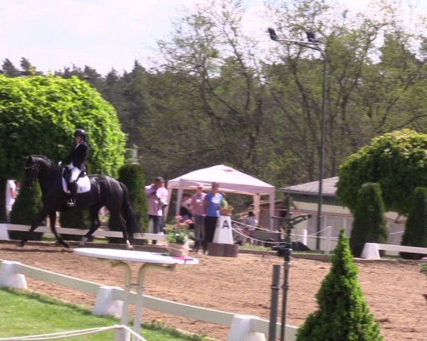 Reitturnier Teupitz 2025