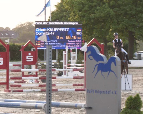 Reitturnier Neuss-Allerheiligen 2025