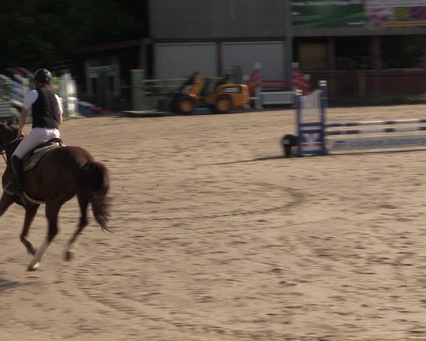 Reitturnier Havixbeck 2025