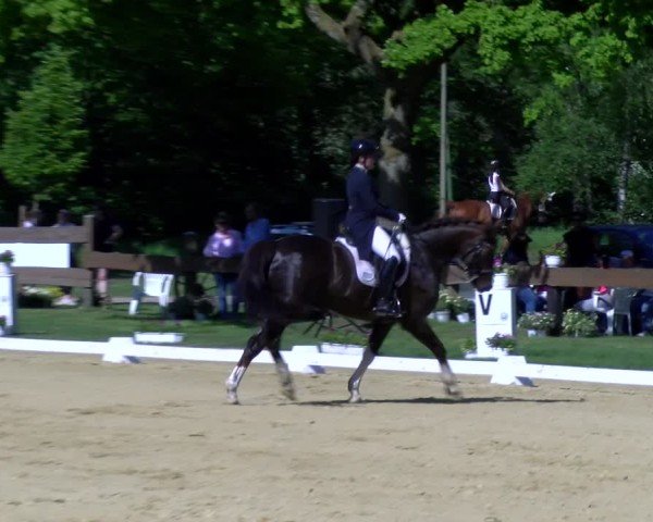 Reitturnier Wesel-Obrighoven 2025