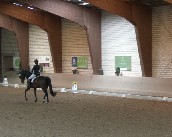 Reitturnier Kamen 2025