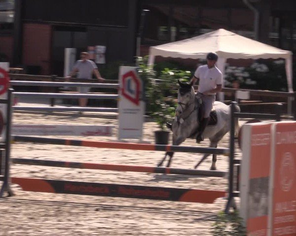 Reitturnier Havixbeck 2025