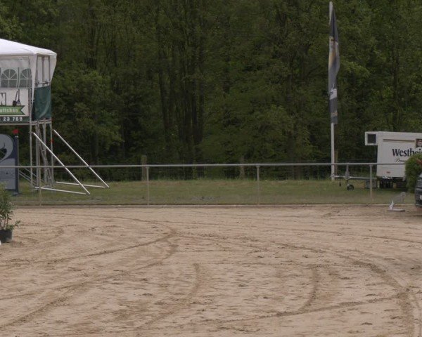 Reitturnier Büren 2025