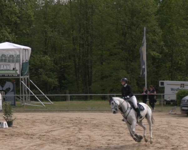 Reitturnier Büren 2025