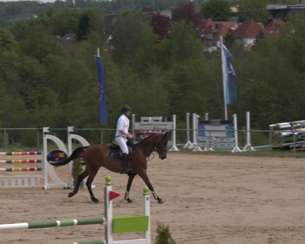Reitturnier Büren 2025