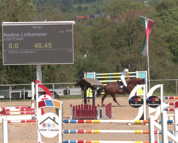 Reitturnier Büren 2025